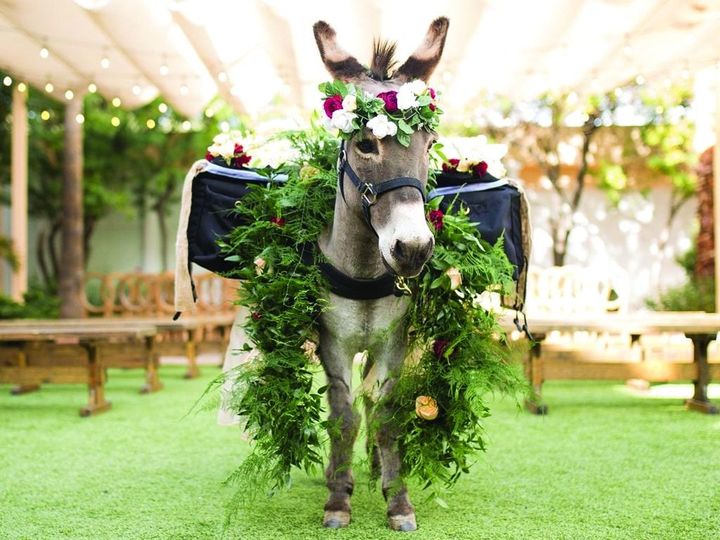 Cave Creek Beer Burro
