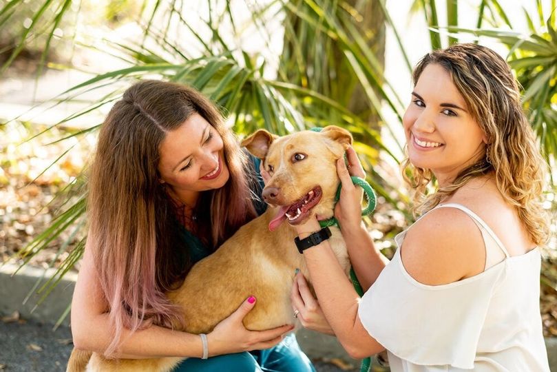 FairyTail Pet Care West Palm Beach