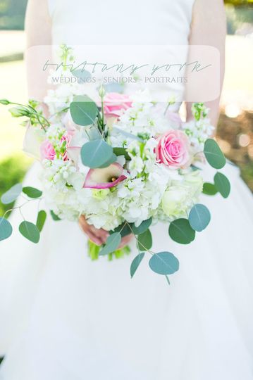 Brittany York Photography