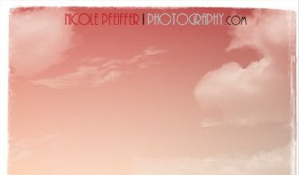 Nicole Pfeiffer Photography