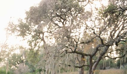 Sarah Stip Photography & Films