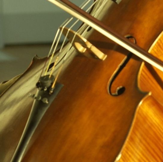 Stringmuse