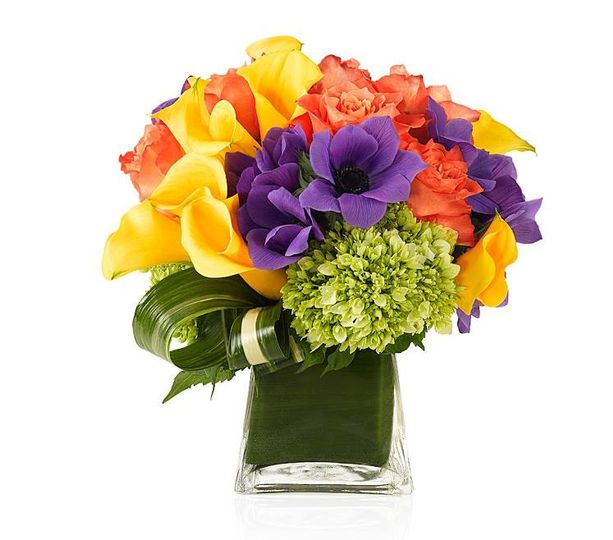 Triplicity Flowers
