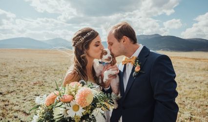 Amy Lacy Photography