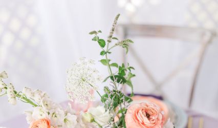 Wild Briar Blooms