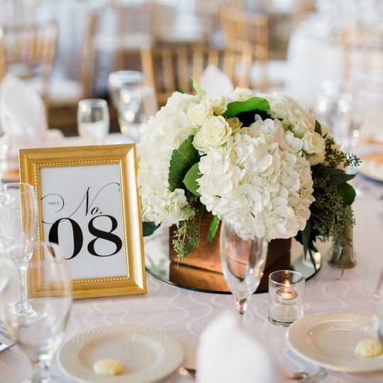 Elegant Beginnings Premiere Events