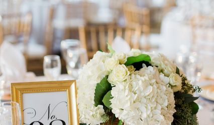 Elegant Beginnings Premiere Events