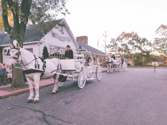 Dream Horse Carriage Company