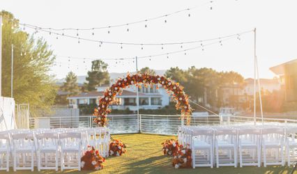 Serendipity Events