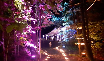 New Spectrum Lighting