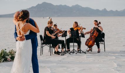 Black & White String Quartet