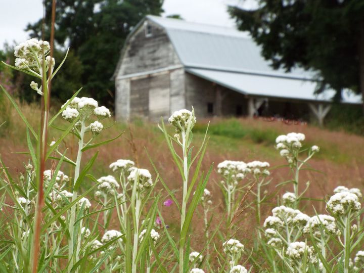 Goebel Hill Farm