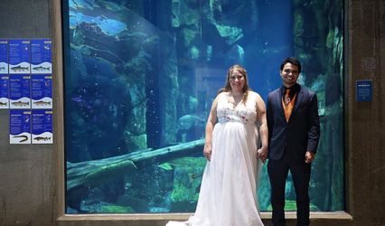 Great Lakes Aquarium