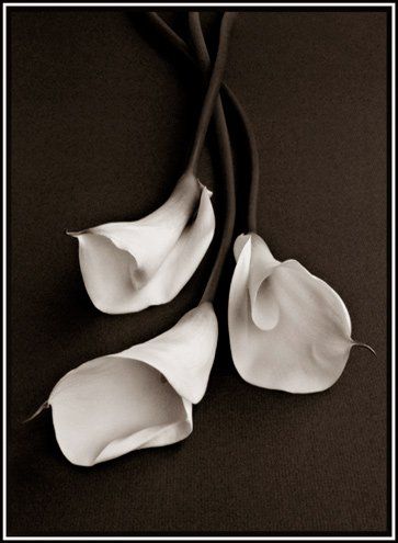Elegant Affairs by Adrienne J. Allen