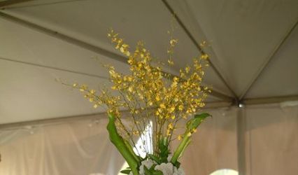 S & R Catering and Event Planning