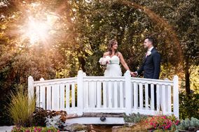 Lisa Smith Photography