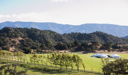 Happy Canyon Vineyard
