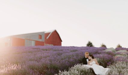 Lavender Hill Farm