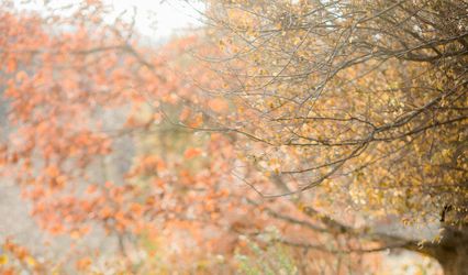 Chelsea Schaefer Photography