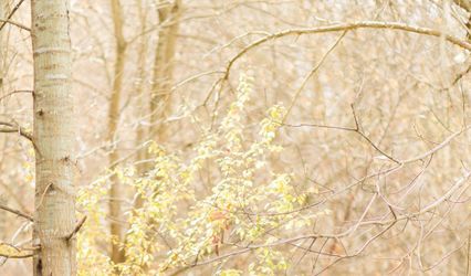 Arrica Lindsay Events