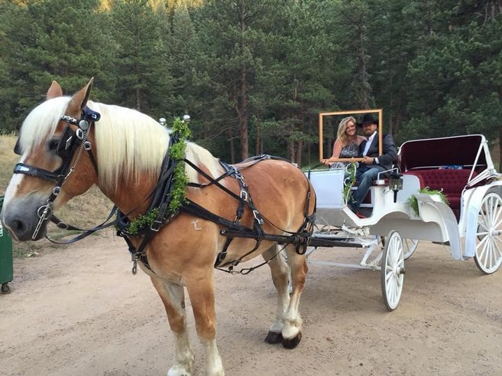 Bear Creek Ranch LLC