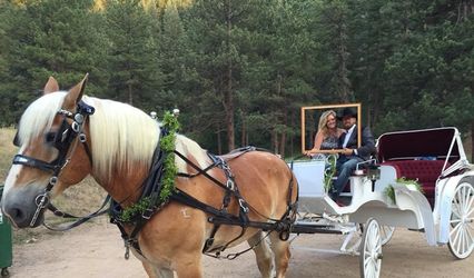 Bear Creek Ranch LLC