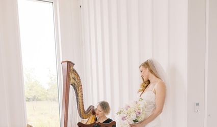 Milwaukee Harpist - Mary E Keppeler