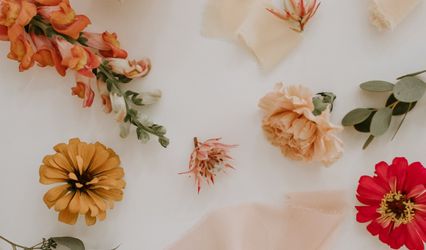 Blooms Revased