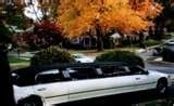 Looking Glass Limousines