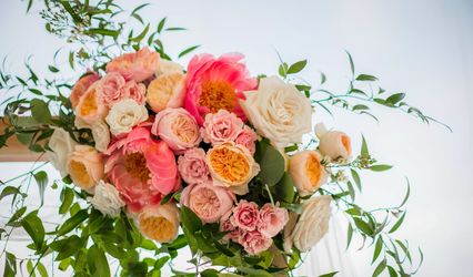 Dandelion House Farm & Floral