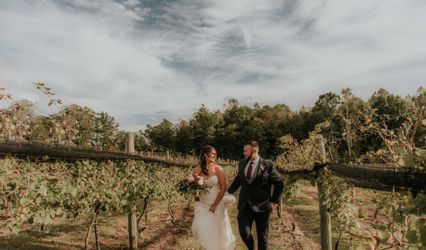 Saude' Creek Vineyards