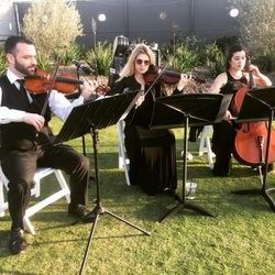 OC Strings