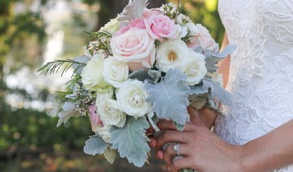 Haley Jane Photography