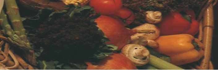 Saffron indian Cuisine