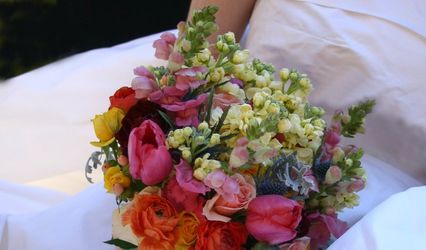 Birchwood Floral