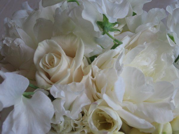 Moreton's Flowerland
