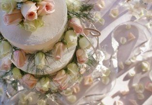 The Cake Shop