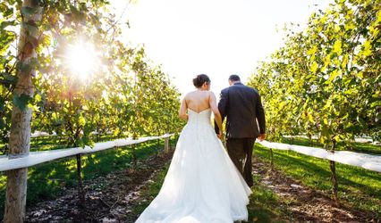Dancing Dragonfly Winery