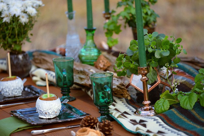 Shira Nelson Weddings and Events