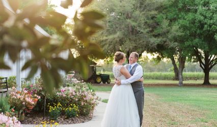 Amanda Warnock Photography