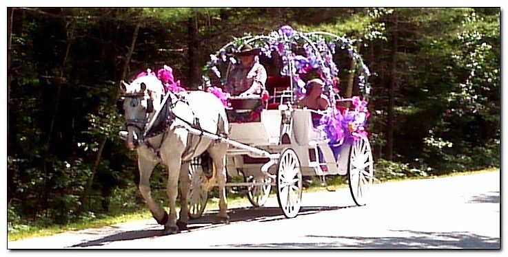 Carousel Horse Farm