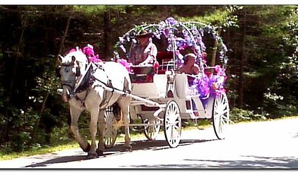 Carousel Horse Farm