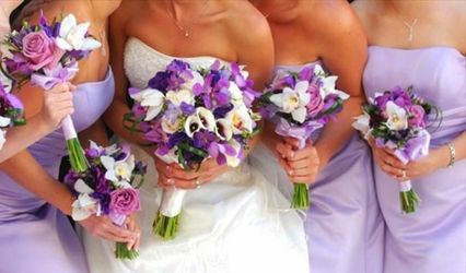 Veils and Bras