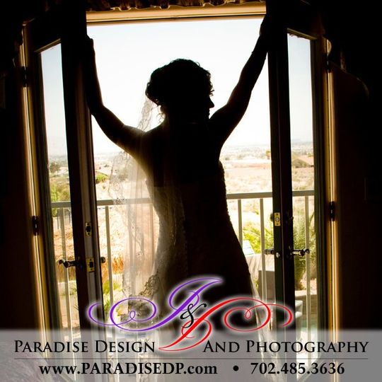 Paradise Design & Photography