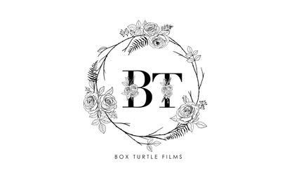 Box Turtle Films