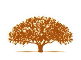 Golden Oak Weddings