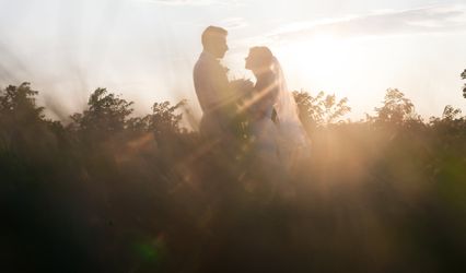 Brides and Film