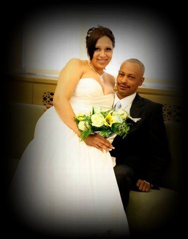 Dolphin Photography