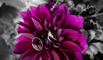 MJPhotography