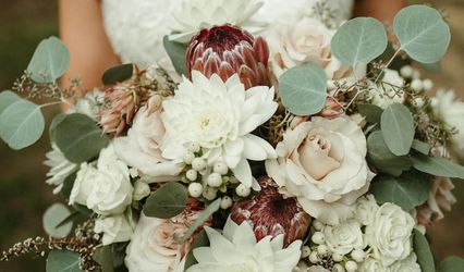 Vase and Vine